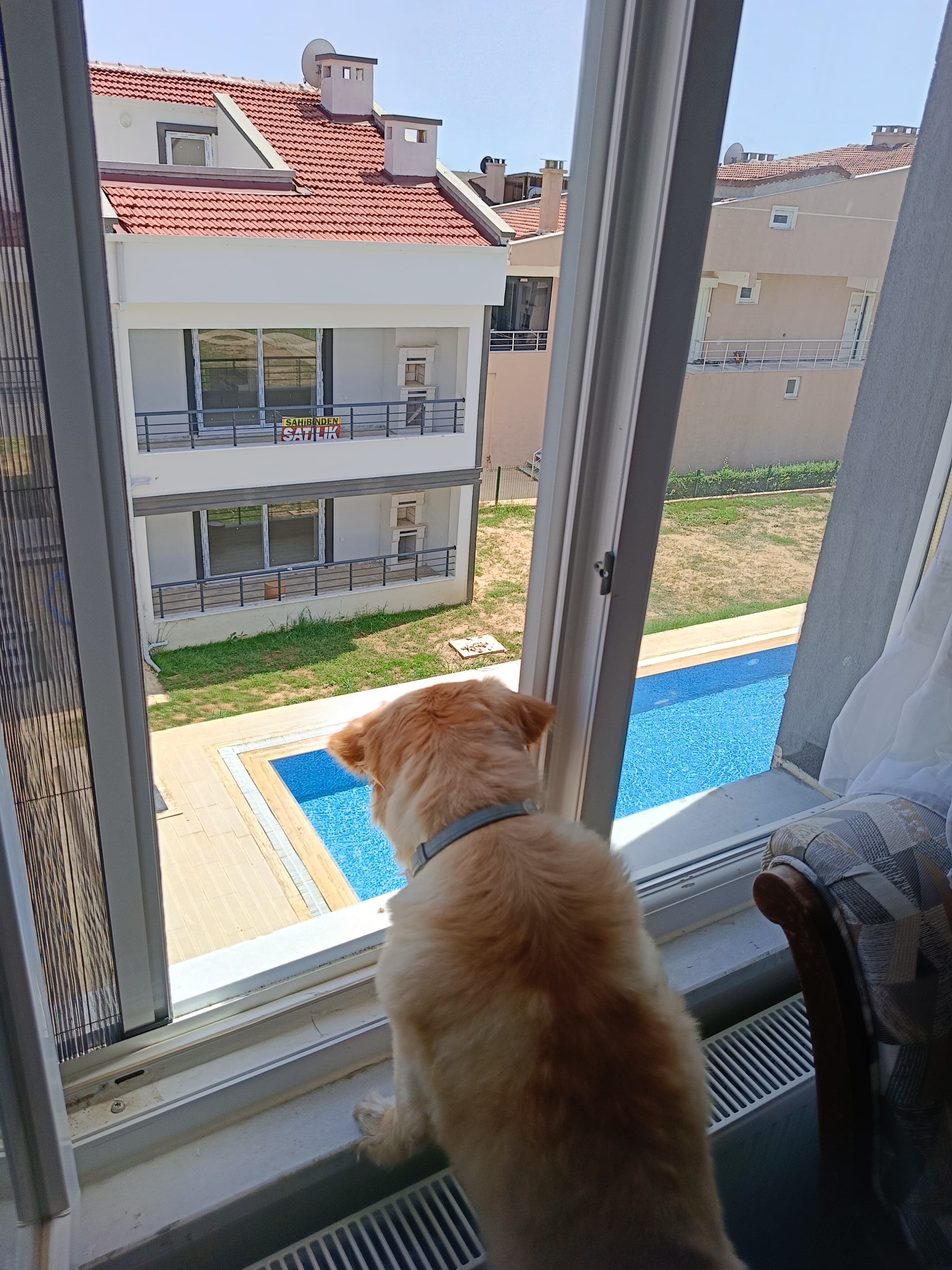 summer - 1