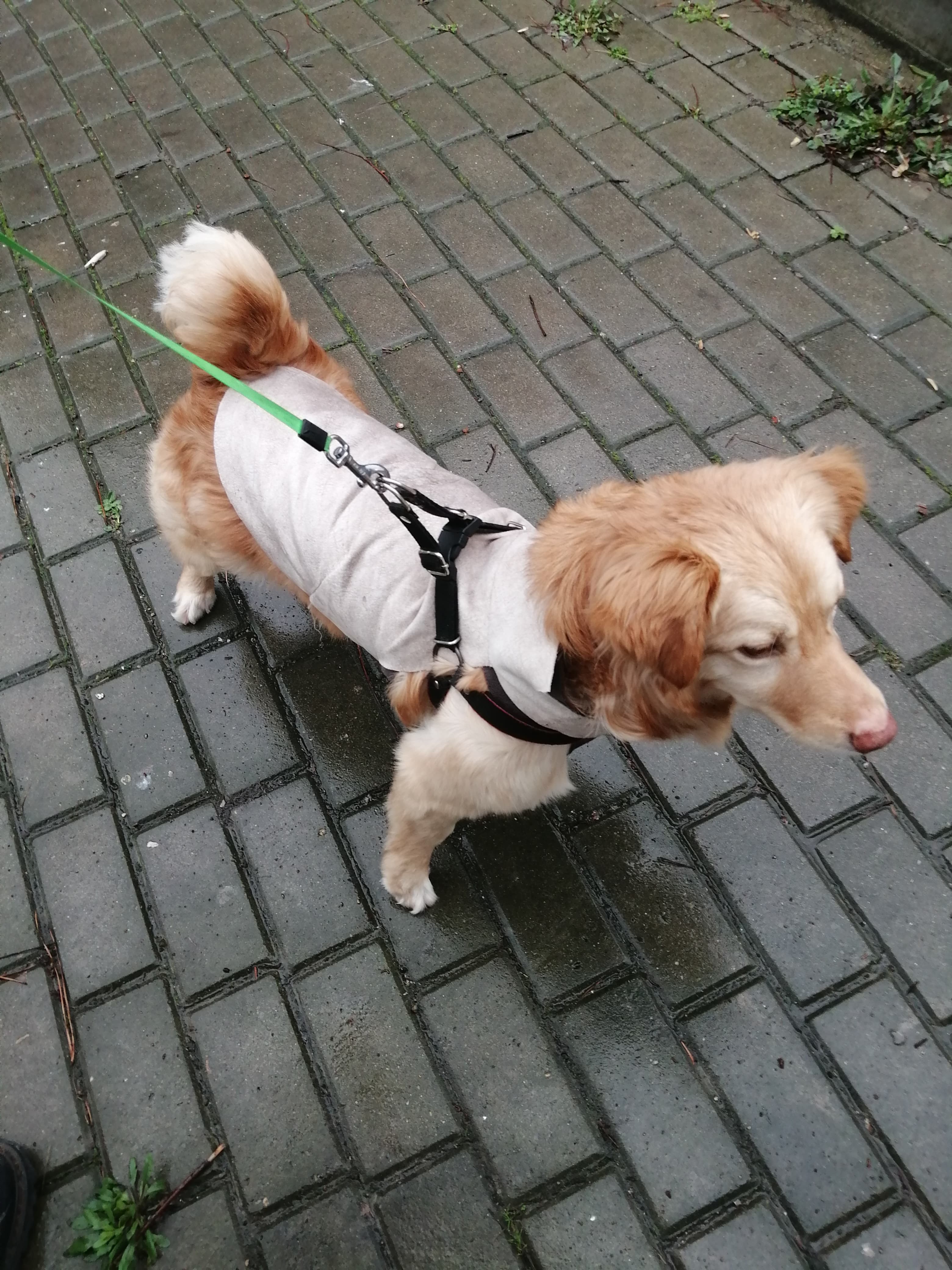 clothes - 1