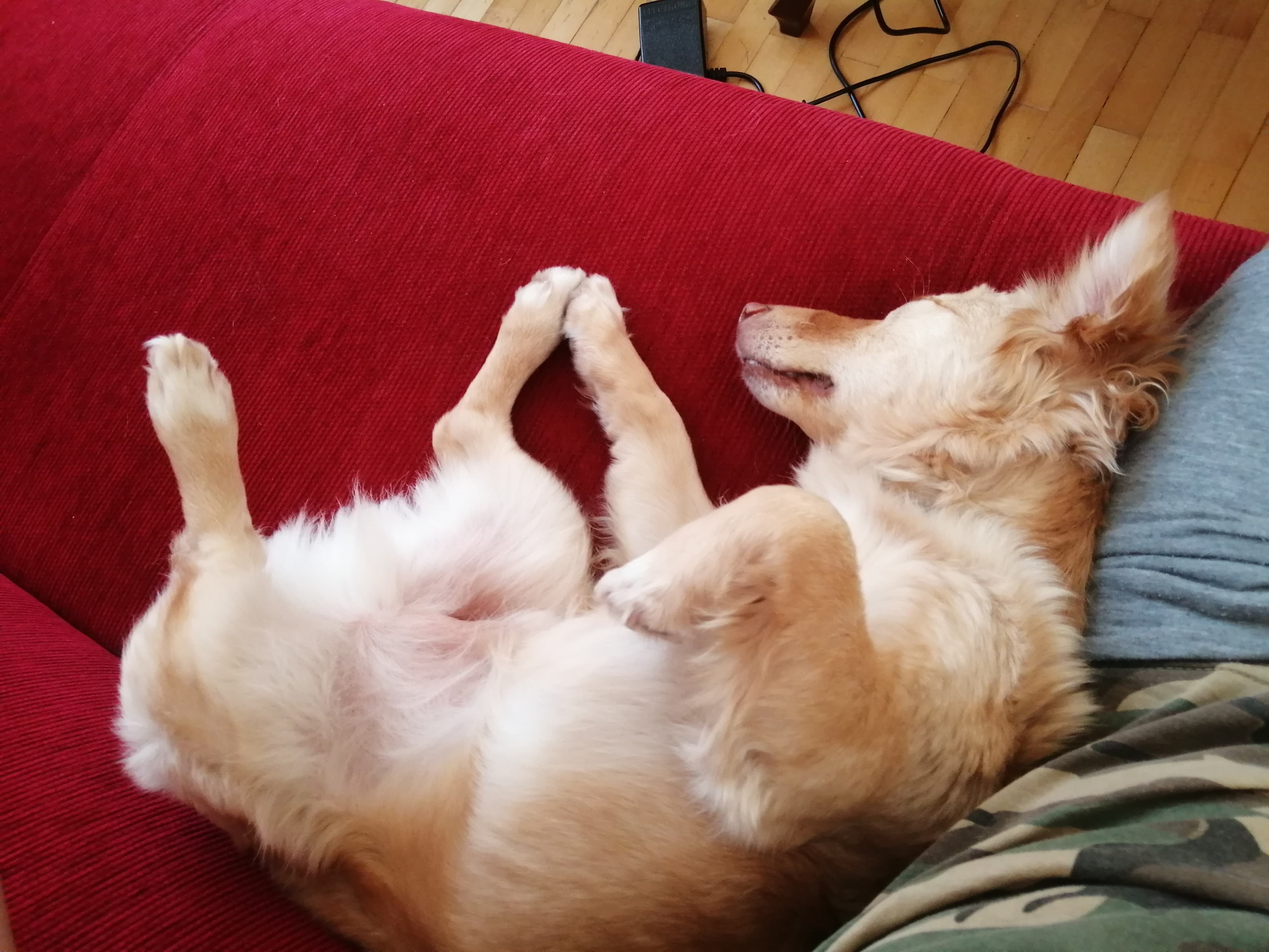 relax - 1