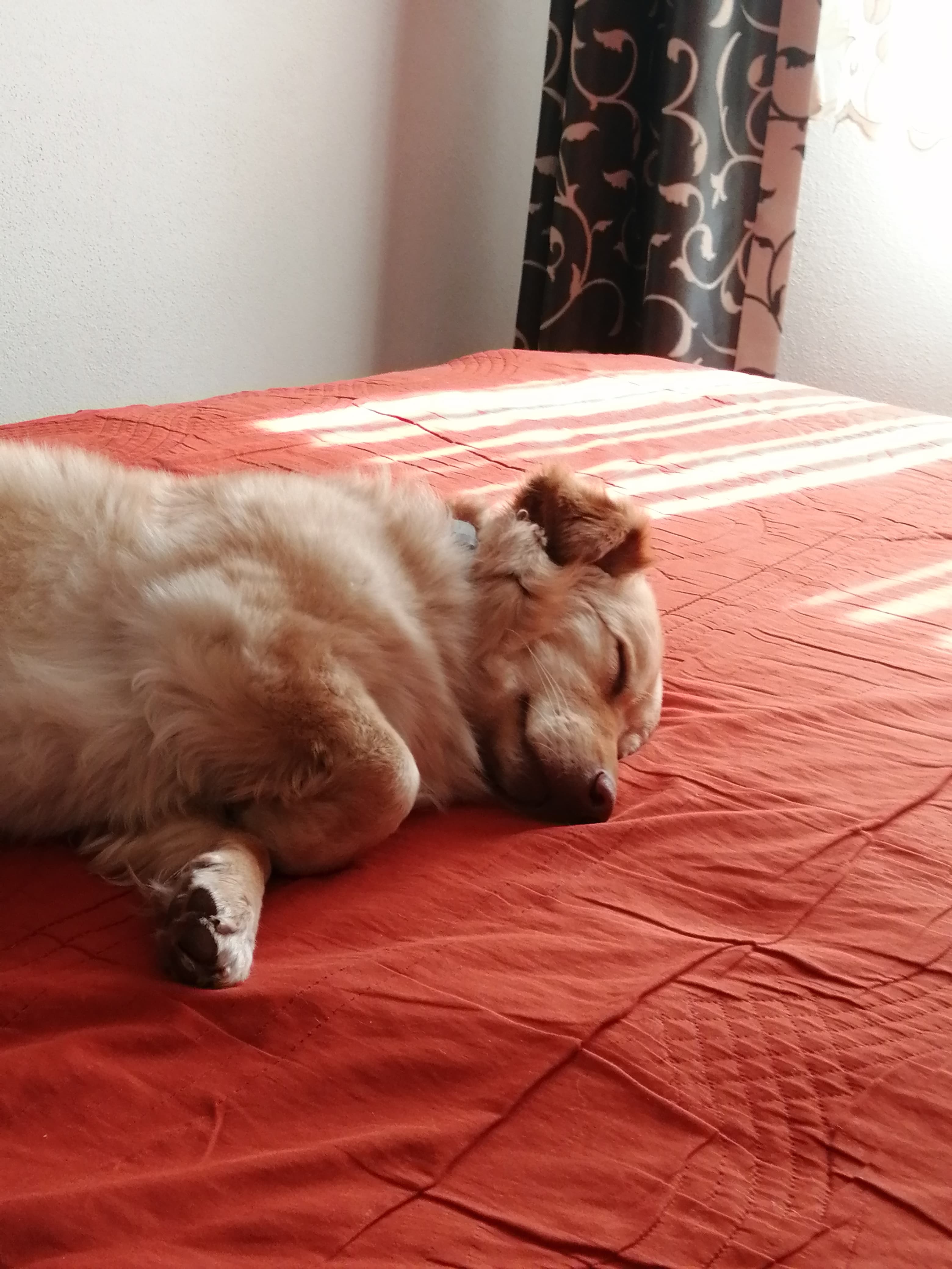 relax - 2
