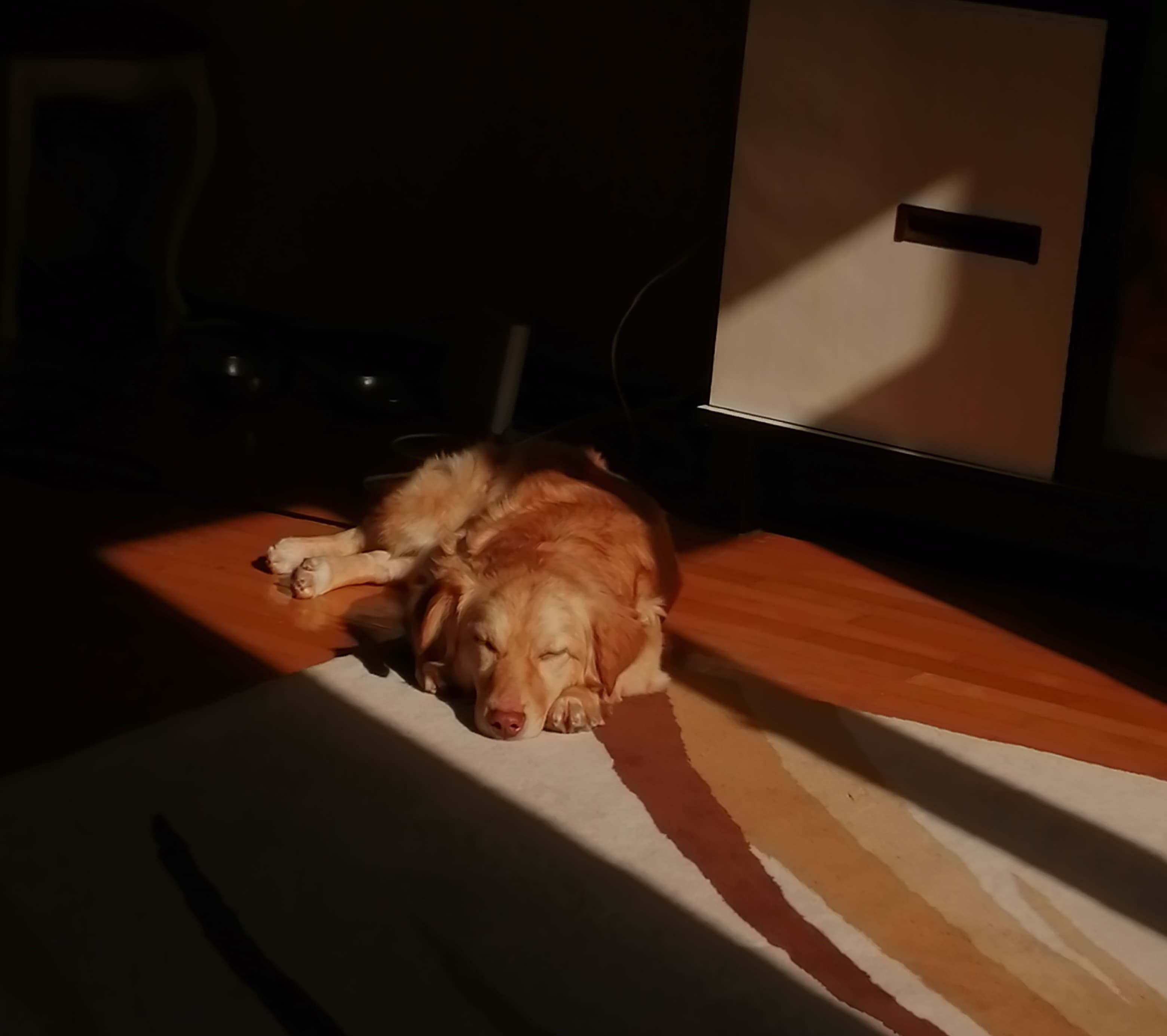 sunlight - 2