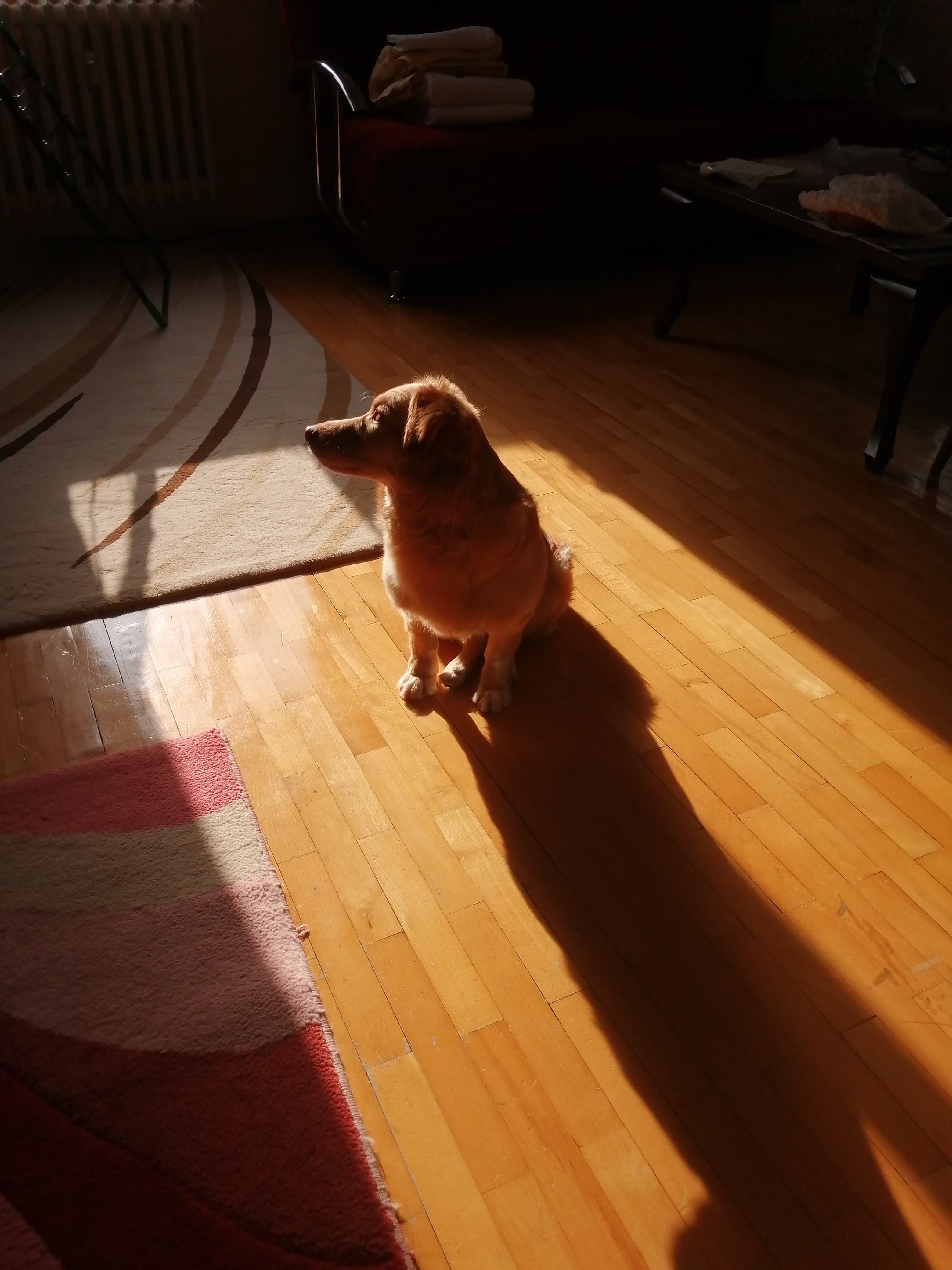 sunlight - 3